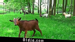 mom and dad teach to daughter